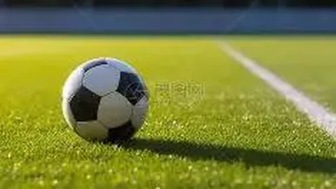 球友会 产品 064521 20p