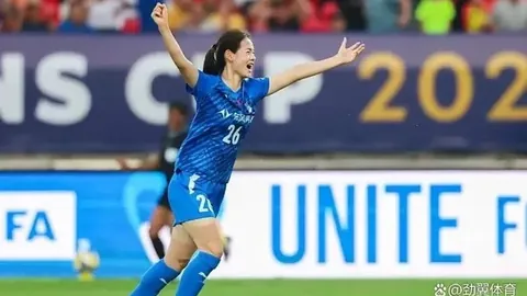 巴西圣保罗州启动登革热应急措施